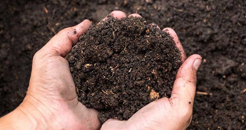 Compost_Espaces_Verts_Marrakech