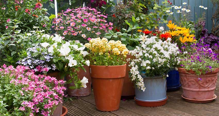 Arrosage-terrasse-balcons