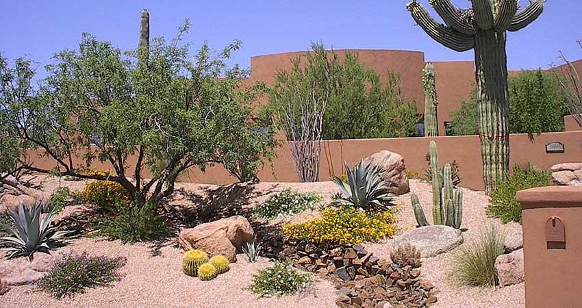 Création_Espace_Vert_Marrakech