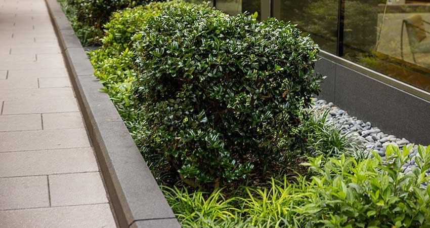 Creation_Jardin_Marrakech05