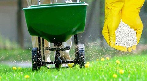 Engrais-Gazon-Marrakech