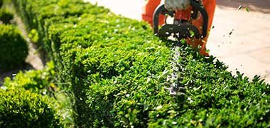 Entretien_Des_Jardins_A_Marrakech