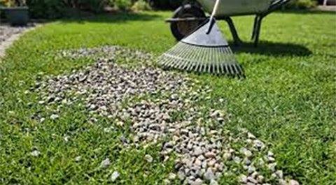 Epierrage-gazon-Marrakech