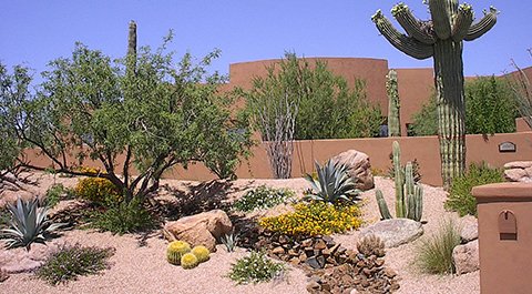 Jardin-cactus-Marrakech480x265