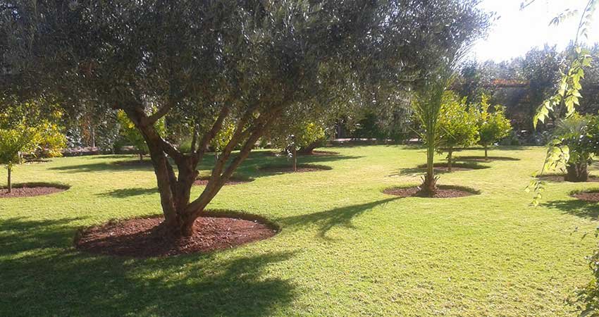 Realisation_Espace_Vert_Marrakech