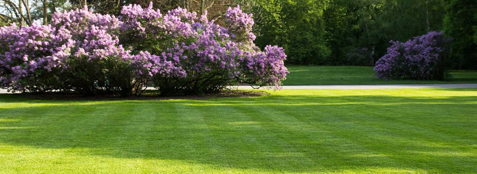 Realisation_Jardins_A_Marrakech