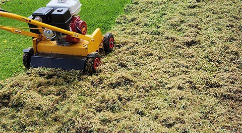 Scarification-gazon-Marrakech