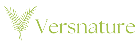 Création et Rénovation de Jardins à Marrakech