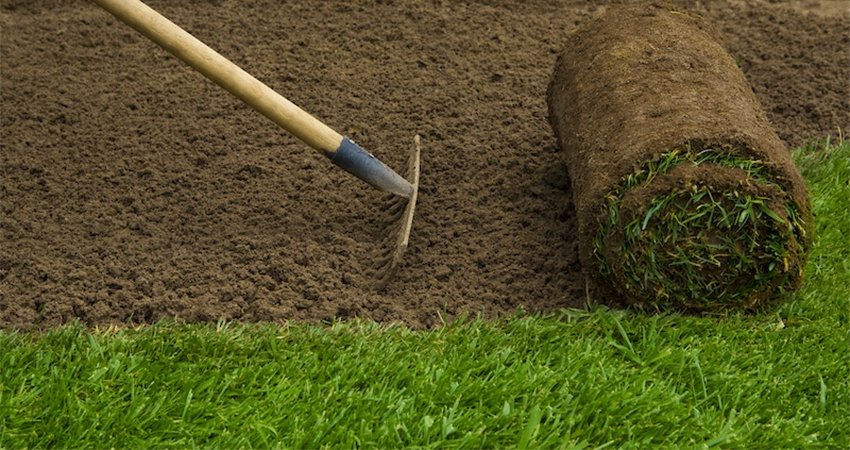 Plantation-Gazon-Marrakech