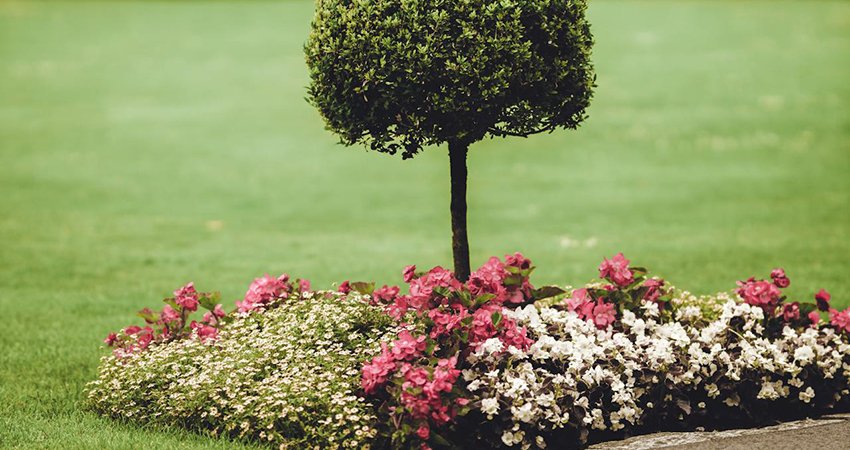 Rénovation-Jardin-Marrakech